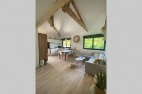 appartement familial grand Piquey , plage a pied